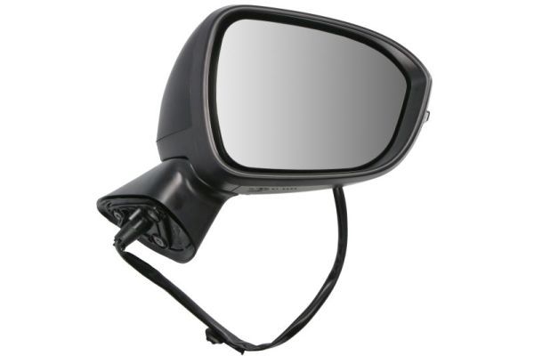 Oglinda exterioara BLIC 5402-15-2465311P