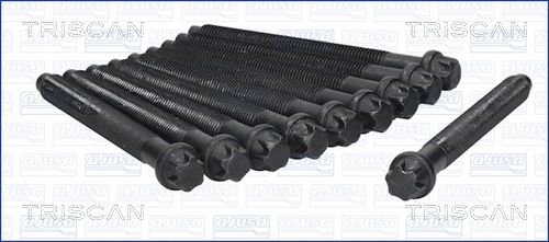 Zestaw śrub głowicy cylindrów TRISCAN 98-6001