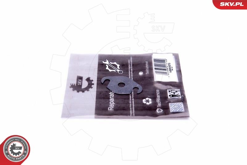 Set de reparație, supapă AGR ESEN SKV 14SKV570