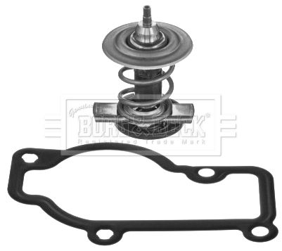 Termostat, środek chłodzący BORG & BECK BBT431
