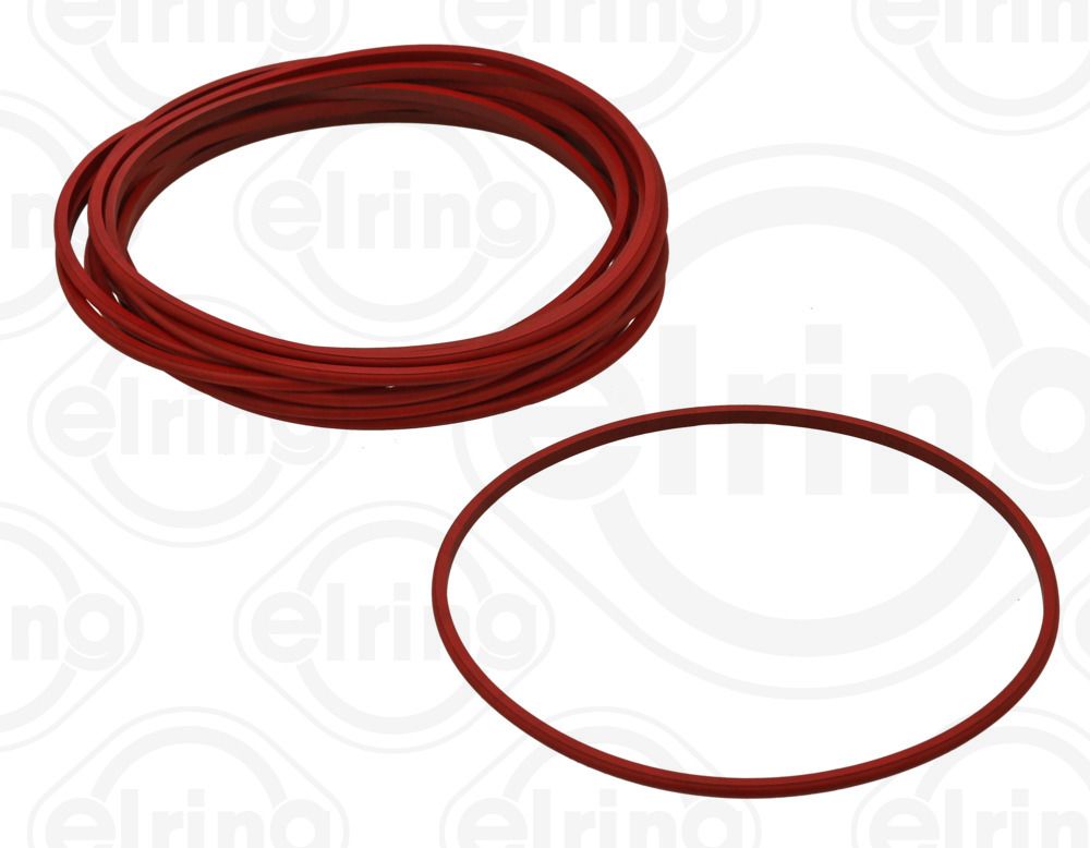 Set garnituri, bucsa cilindru ELRING 076.240