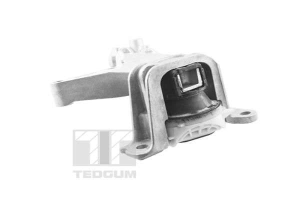 Łożyskowanie silnika TEDGUM TED61737