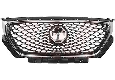 Grille de radiateur