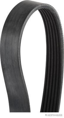 Pasek klinowy wielorowkowy HERTH+BUSS JAKOPARTS J1061981