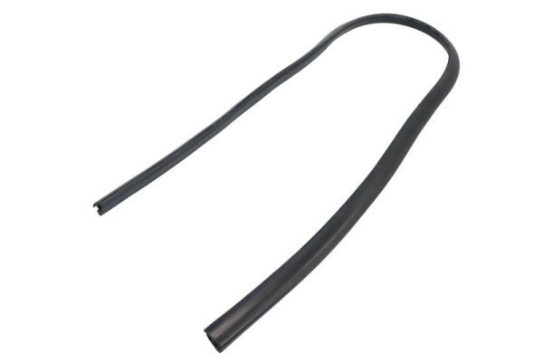 Elemente decorative/protectie, parbriz BLIC 5703-04-6037588Q