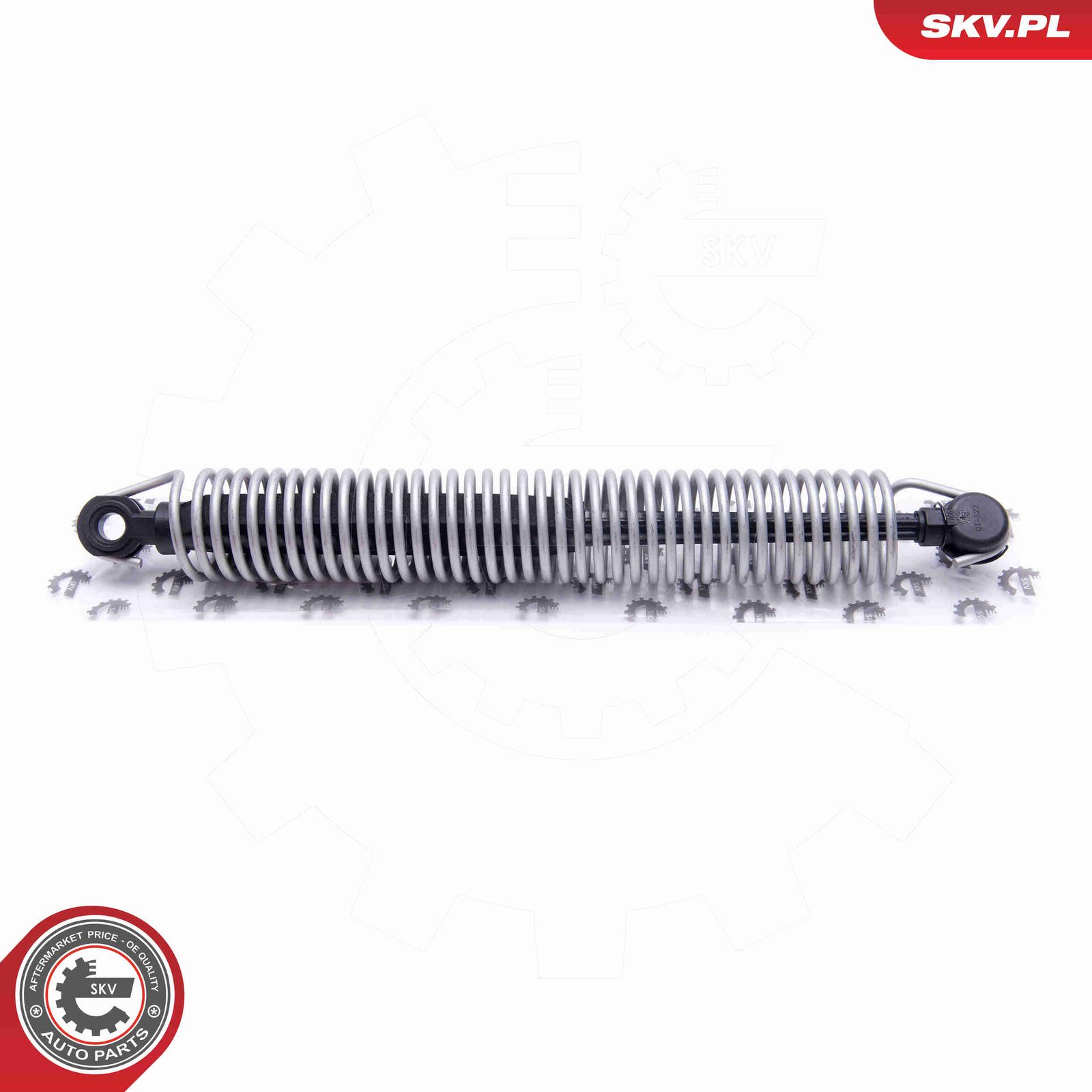 Gaasivedru, pagasi-/veoruum