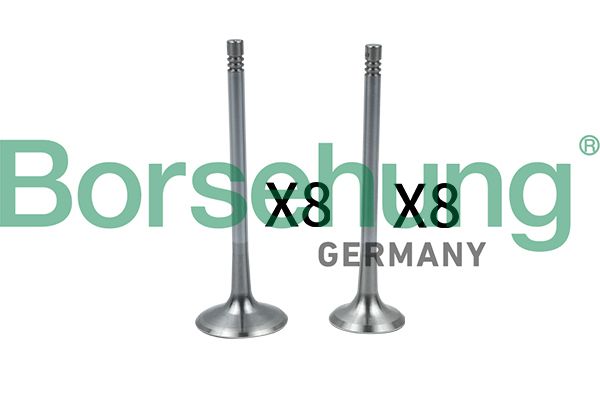 Supapa admisie BORSEHUNG B18637