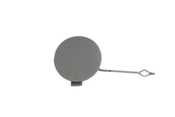 acoperire tampon,sistem de remorcare BLIC 5513-00-0070920P