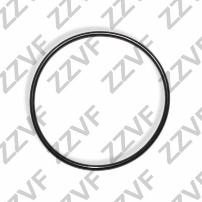 Blīve, Degvielas sūknis