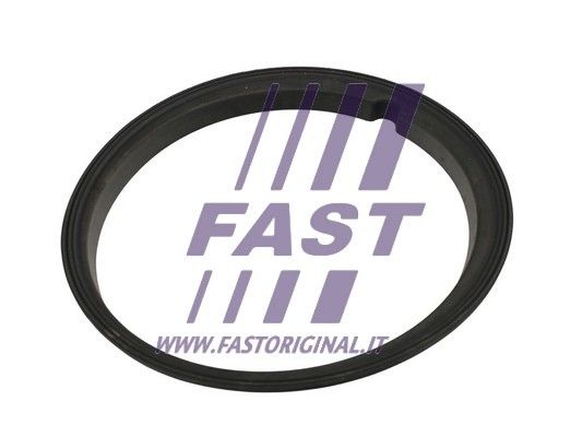 Uszczelka, czujnik poziomu paliwa FAST FT48502
