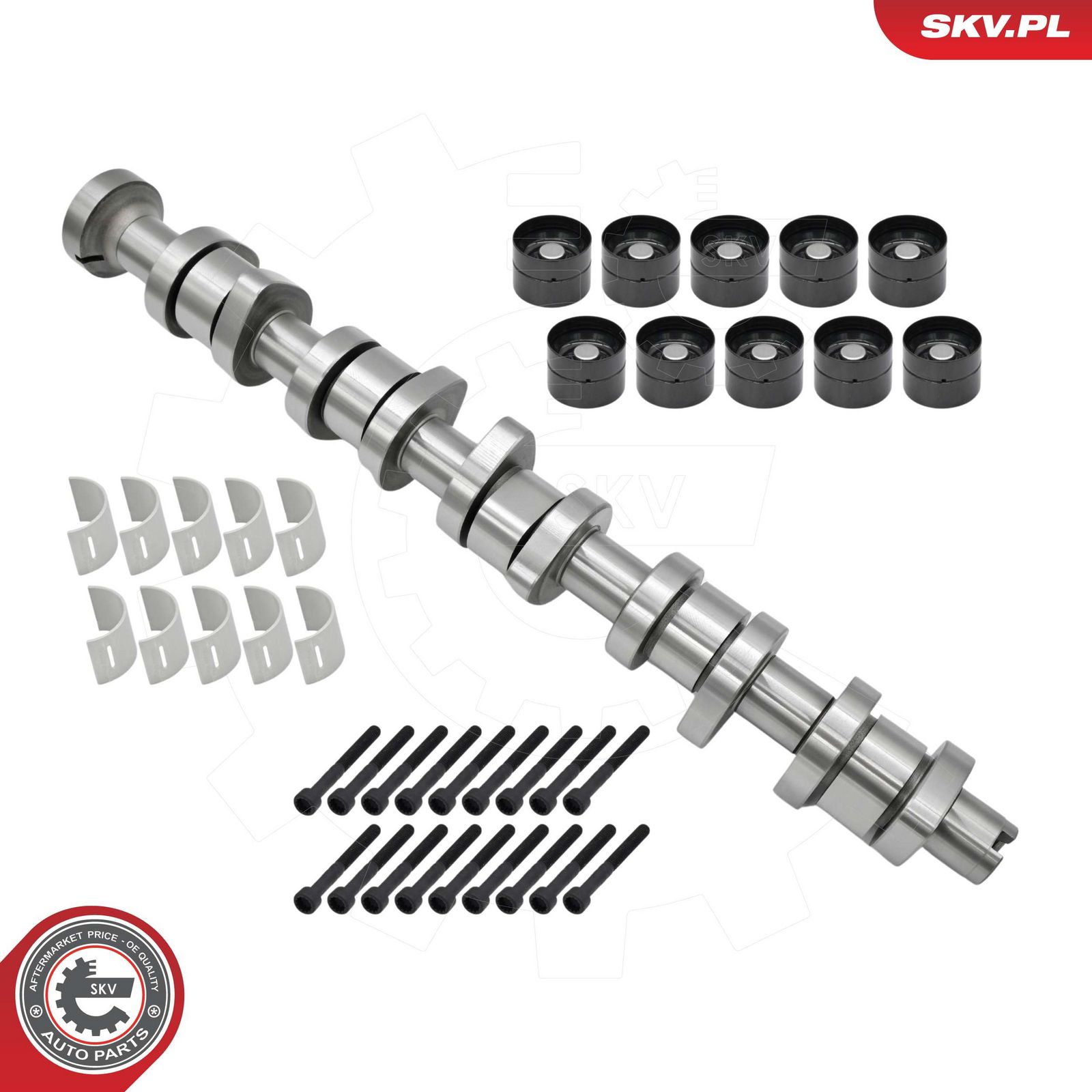 E-shop Sada vačkového hriadeľa ESEN SKV 80SKV305