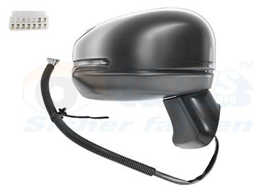 Oglinda exterioara VAN WEZEL 2562806