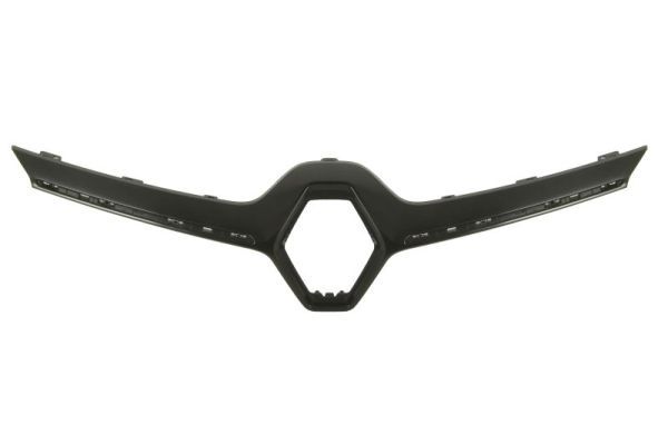 Облицовка / защитная накладка, облицовка радиатора