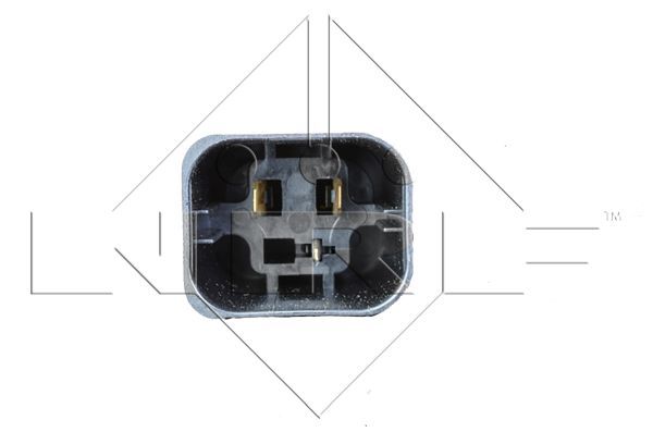 Ventilateur, refroidissement du moteur