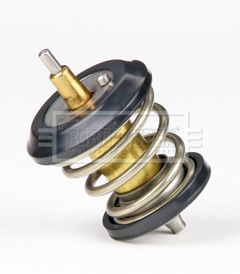 Termostat, środek chłodzący BORG & BECK BBT339