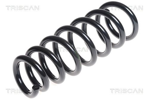 Arc spiral TRISCAN 8750 11136