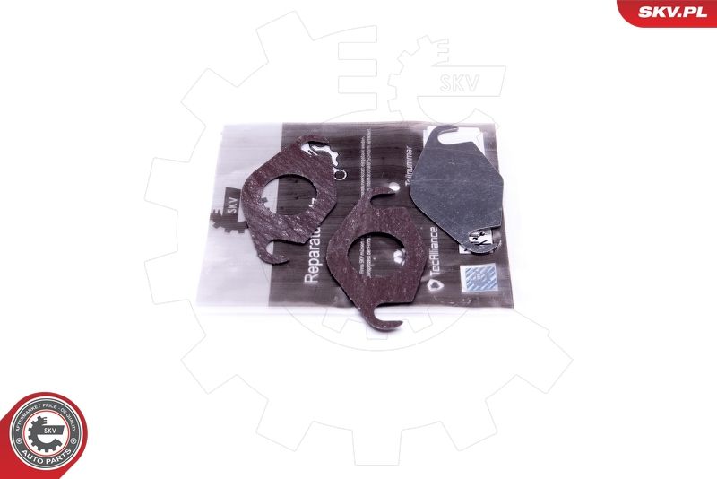 Set de reparație, supapă AGR ESEN SKV 14SKV577