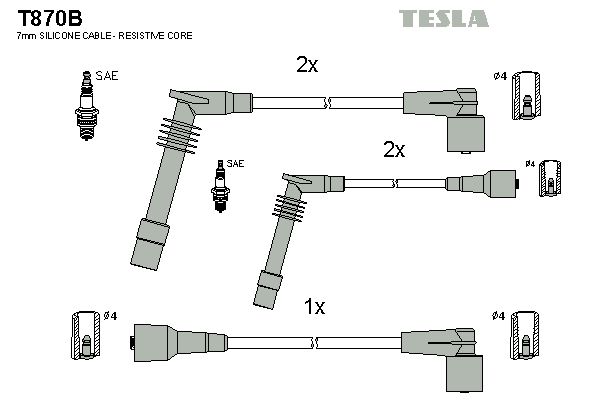 Set cablaj aprindere TESLA T870B