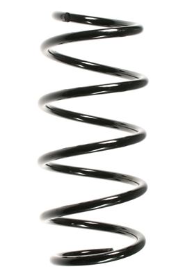 Arc spiral SPIDAN 55963