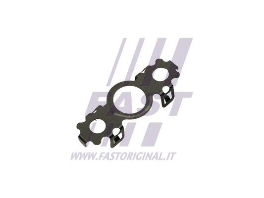 Uszczelniacz, odpływ oleju (doładowanie) FAST FT48811