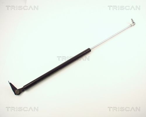 Amortizor portbagaj TRISCAN 8710 13246