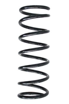 Arc spiral SPIDAN 55232