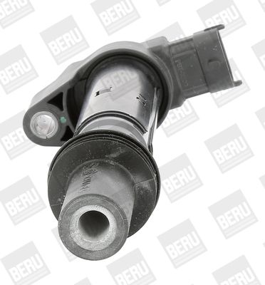 Levně Zapalovací cívka BorgWarner (BERU) ZS557