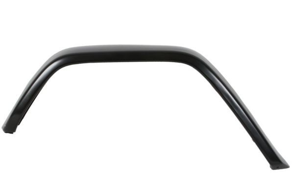 Ehis-/kaitseliist,Poritiib