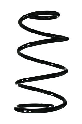 Arc spiral SPIDAN 55617