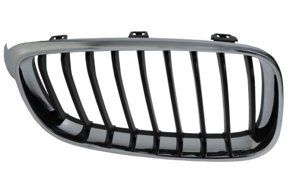 Grila radiator BLIC 6502-07-0081992GP