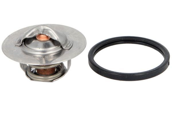 termostat,lichid racire THERMOTEC D2P001TT