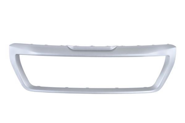 Banda de protectie, grila radiator BLIC 6502-07-2098993P