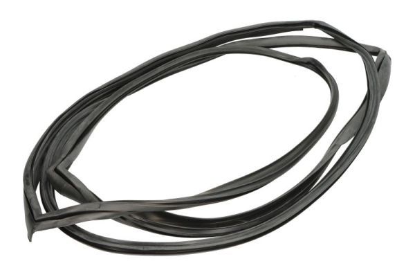 Elemente decorative/protectie, parbriz BLIC 5703-04-6037715Q