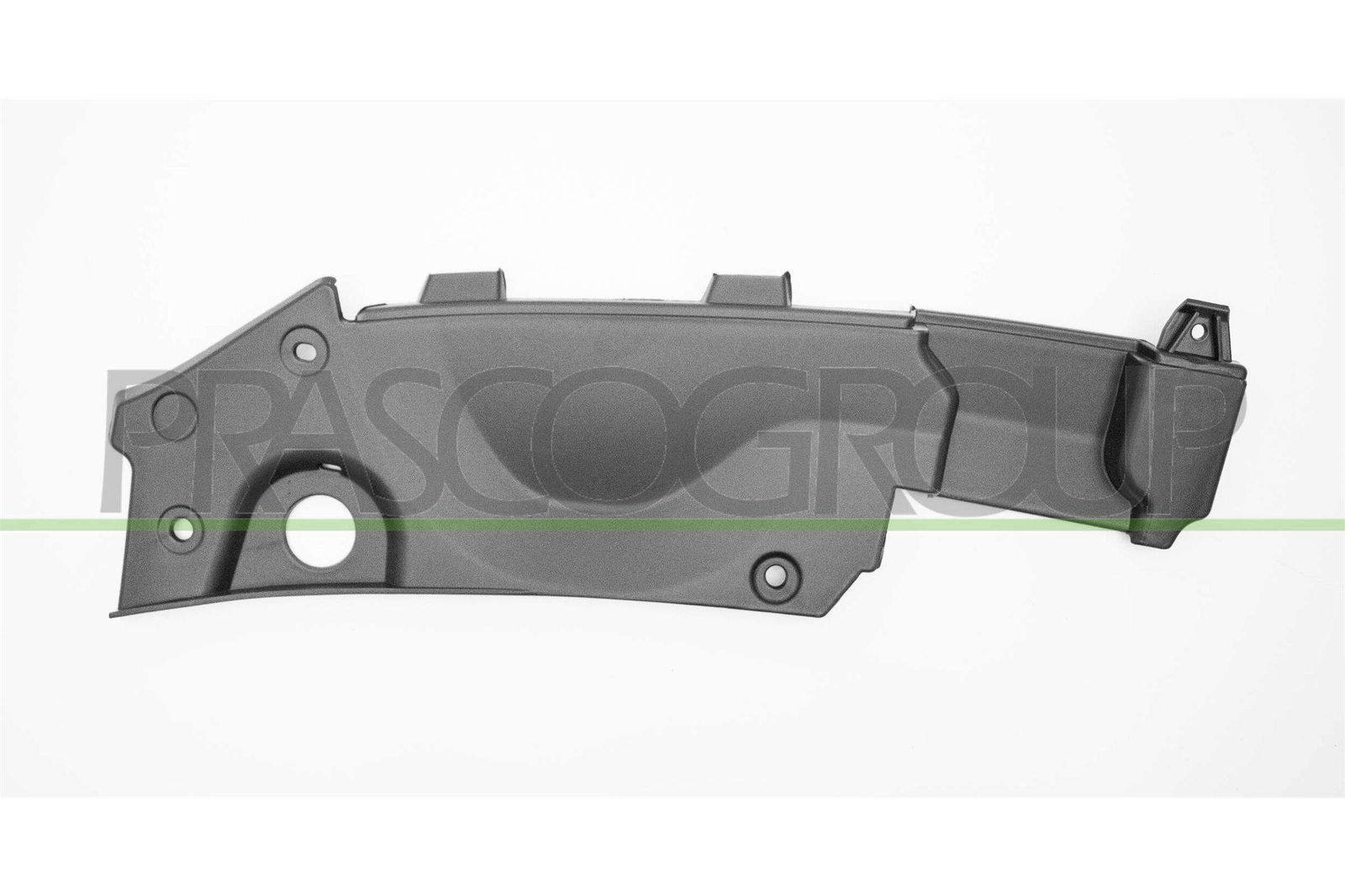 Elemente decorative/protectie, parte frontala PRASCO SK4202204