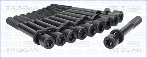 Zestaw śrub głowicy cylindrów TRISCAN 98-6002