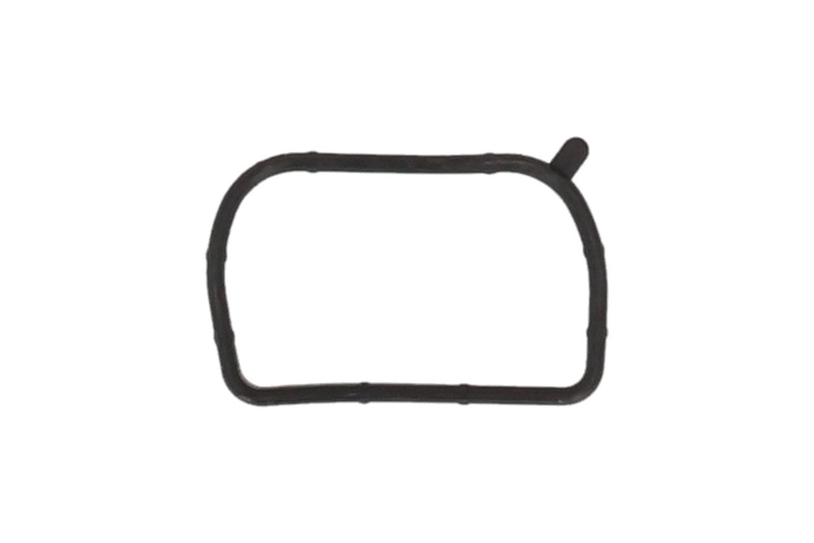 Blīve, Ieplūdes kolektors