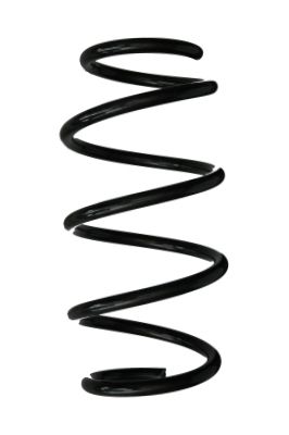 Arc spiral SPIDAN 87991