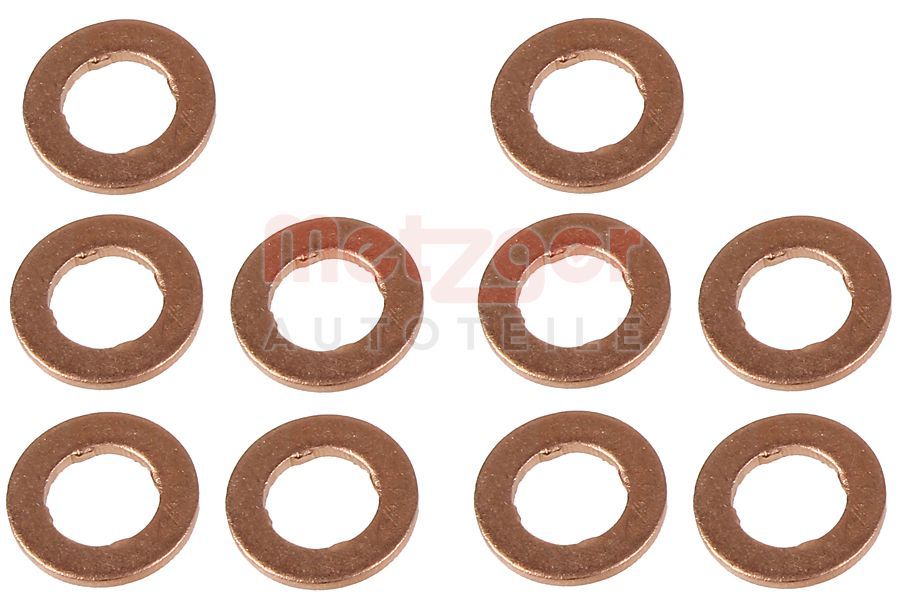 Kaitseseib,sissepritsesüsteem