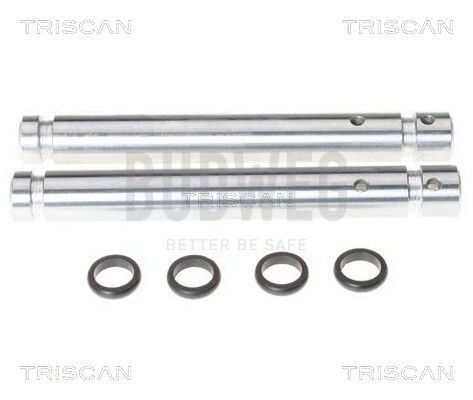 TRISCAN 8170169054
