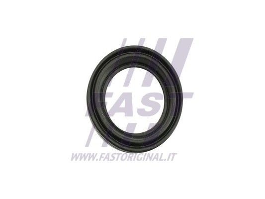 Zestaw naprawczy, zacisk hamulca FAST FT32483