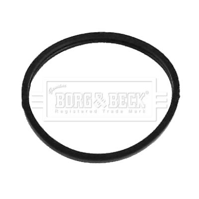 Termostat, środek chłodzący BORG & BECK BG048