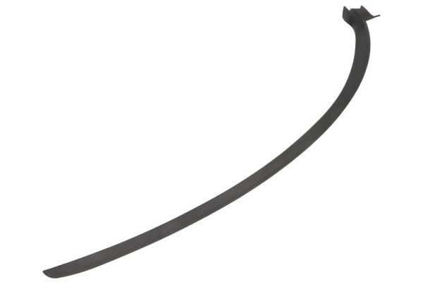 Elemente decorative/protectie, parbriz BLIC 5703-04-6037896Q