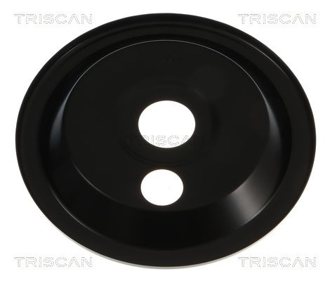 protectie stropire,disc frana TRISCAN 8125 23122