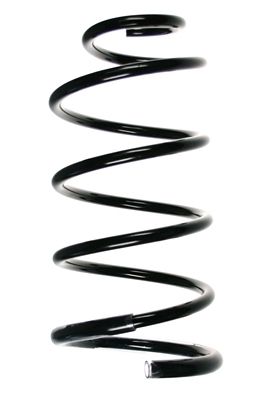 Arc spiral SPIDAN 56078