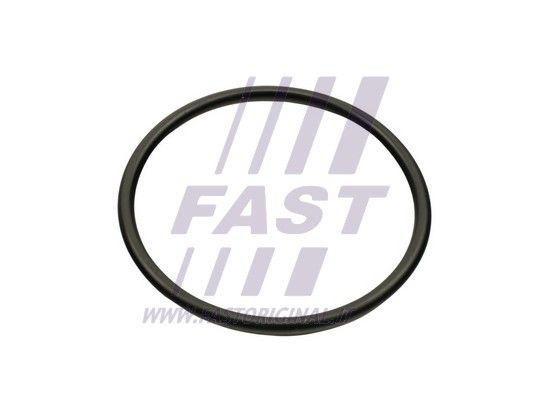 Uszczelka, kolektor dolotowy FAST FT49460