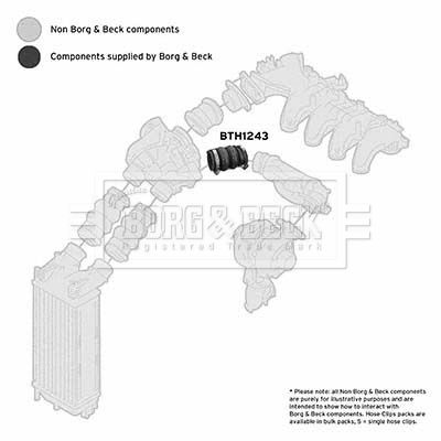 Przewód powietrza doładowującego BORG & BECK BTH1243