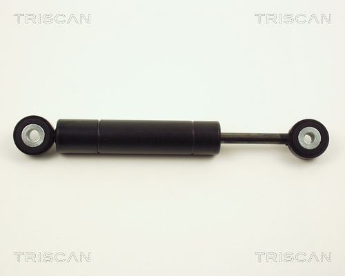 Tłumik drgań, pasek wieloklinowy TRISCAN 8710 2313