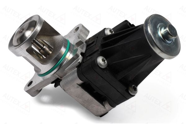 Zawór AGR AUTEX 959169