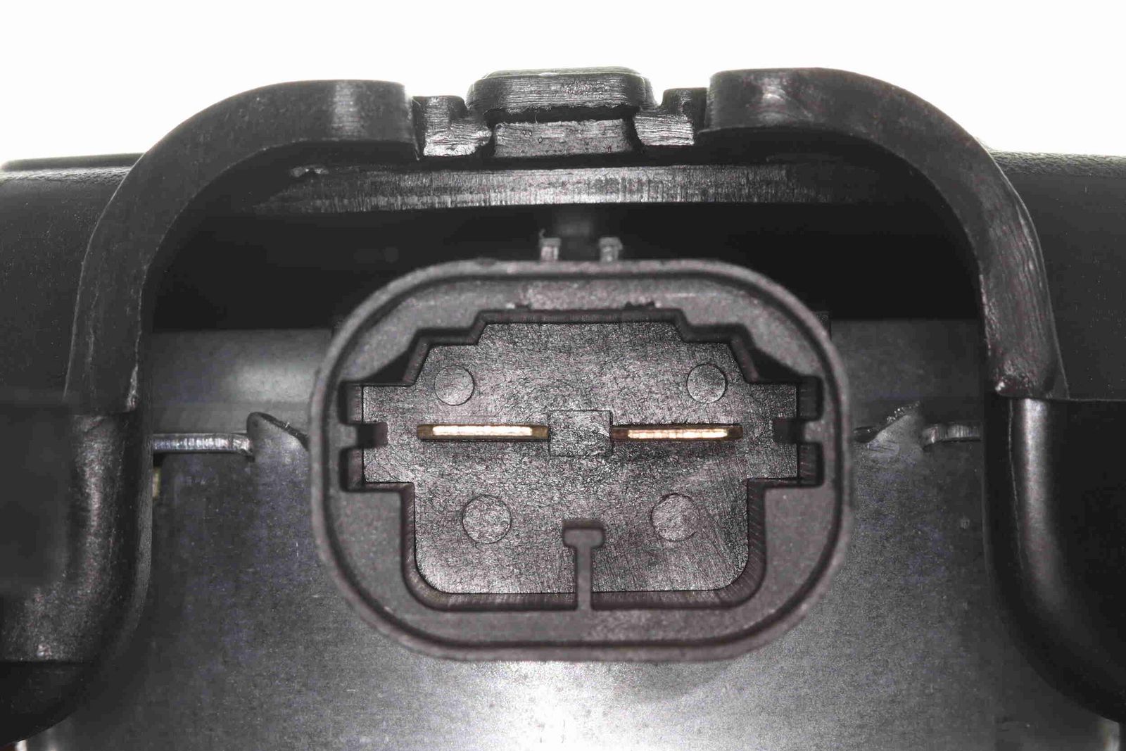 Ventilateur, refroidissement du moteur