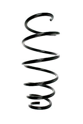 Arc spiral SPIDAN 85979